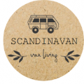 Portrait de Scandinavan