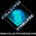 Portrait de CollectifSynergie