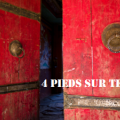 Portrait de 4 pieds sur Terre
